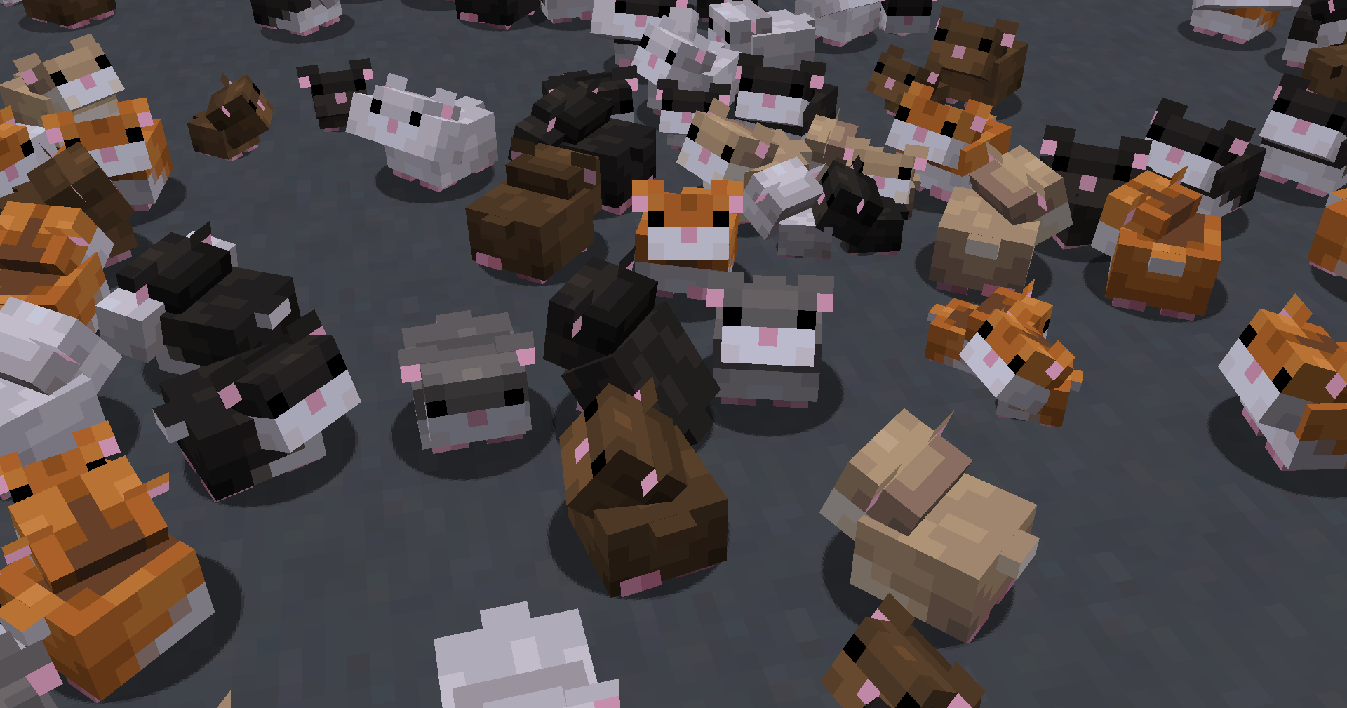 Hamsters